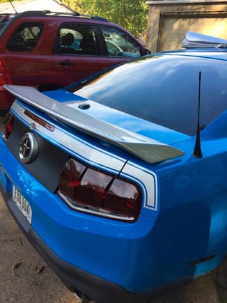 Raxiom taillights, Cervinis California style spoiler