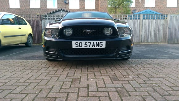 couldn't resist the plate, so stang or 5.0 stang