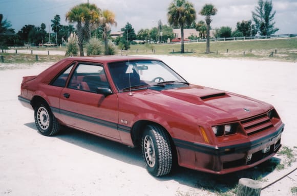 NEW 1982 Mustang GT - 5 speed