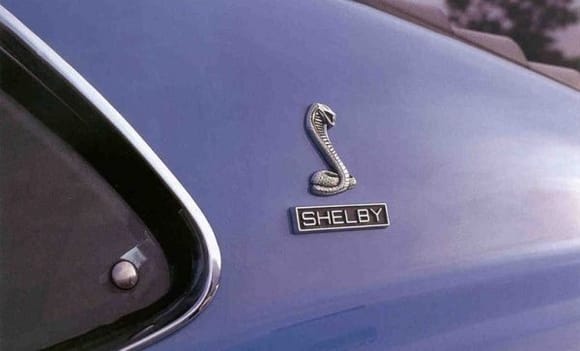 shelby70 3