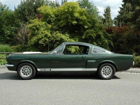 1966shelbygt350 2