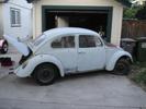 My Bug