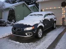 1st morning after I brought it home.