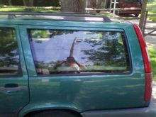 got the window replaced and it was cheaper than I thought it was going to be.... window was 50 and the install was 50 good to have friends....