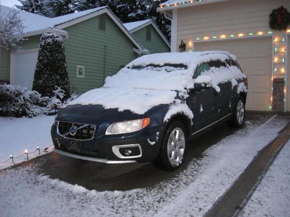 1st morning after I brought it home.