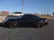 My first Porsche In this pic shes only 2 months old in my hands! I recieved her as a virgin! :)