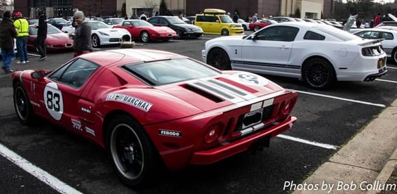 Ford GT & GT 500
