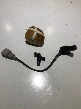 The bun is for scale...