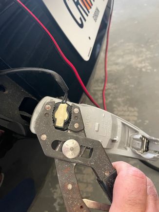 Carefully turn counter clockwise to remove light