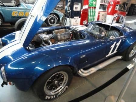 Shelby Cobra, blue with white racing stripes, reveals its engine bay.