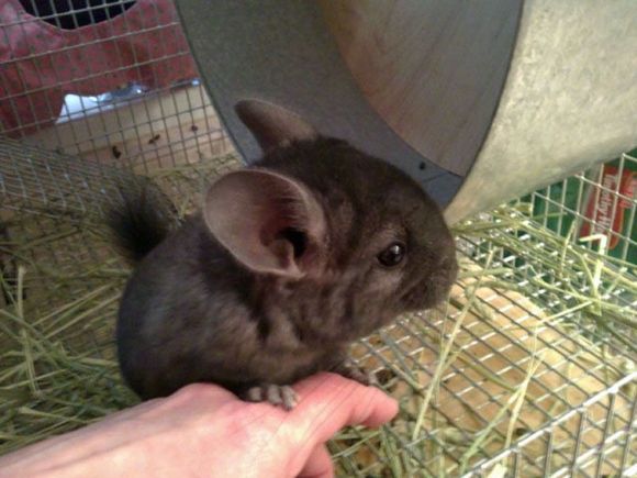 baby on hand