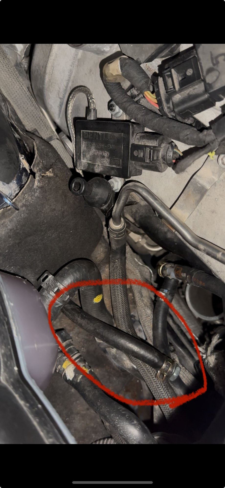 This is the hose that�s not attached the part # is similar to that of the thread you directed me to and also routed from the same location as the other threads.   So it just route to the elbow. 