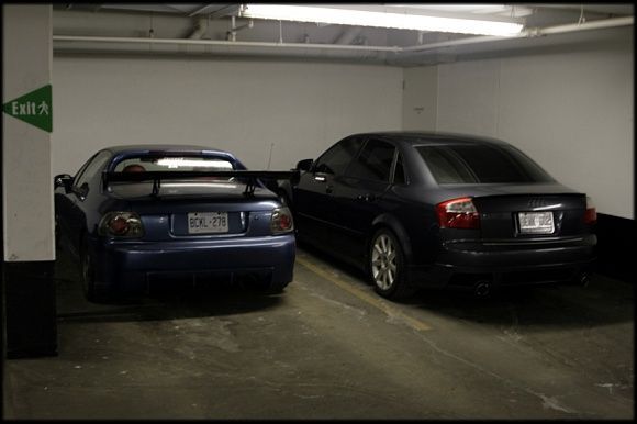 Two biaches