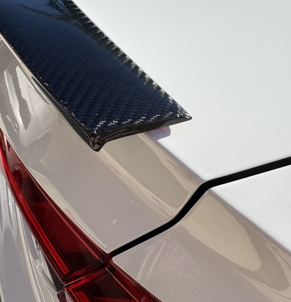wrong curvature and does not reach trunk cut line