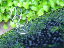 ornament