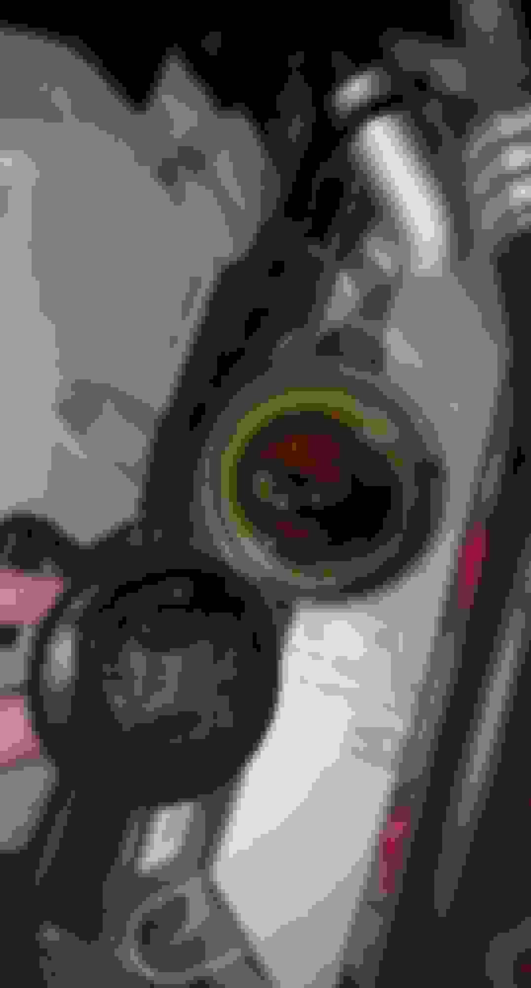 2012 C7 A6 3.0 Prestige stage 2 white smoke/pcv?/catch can experiences