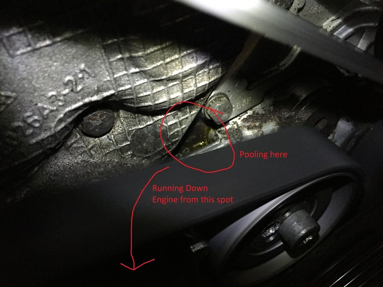 Cab oil pump leak and whine AudiWorld Forums