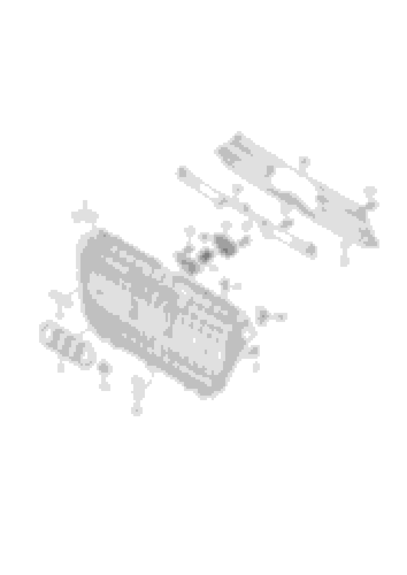 Homestretch almost to allroad Page 2 AudiWorld Forums