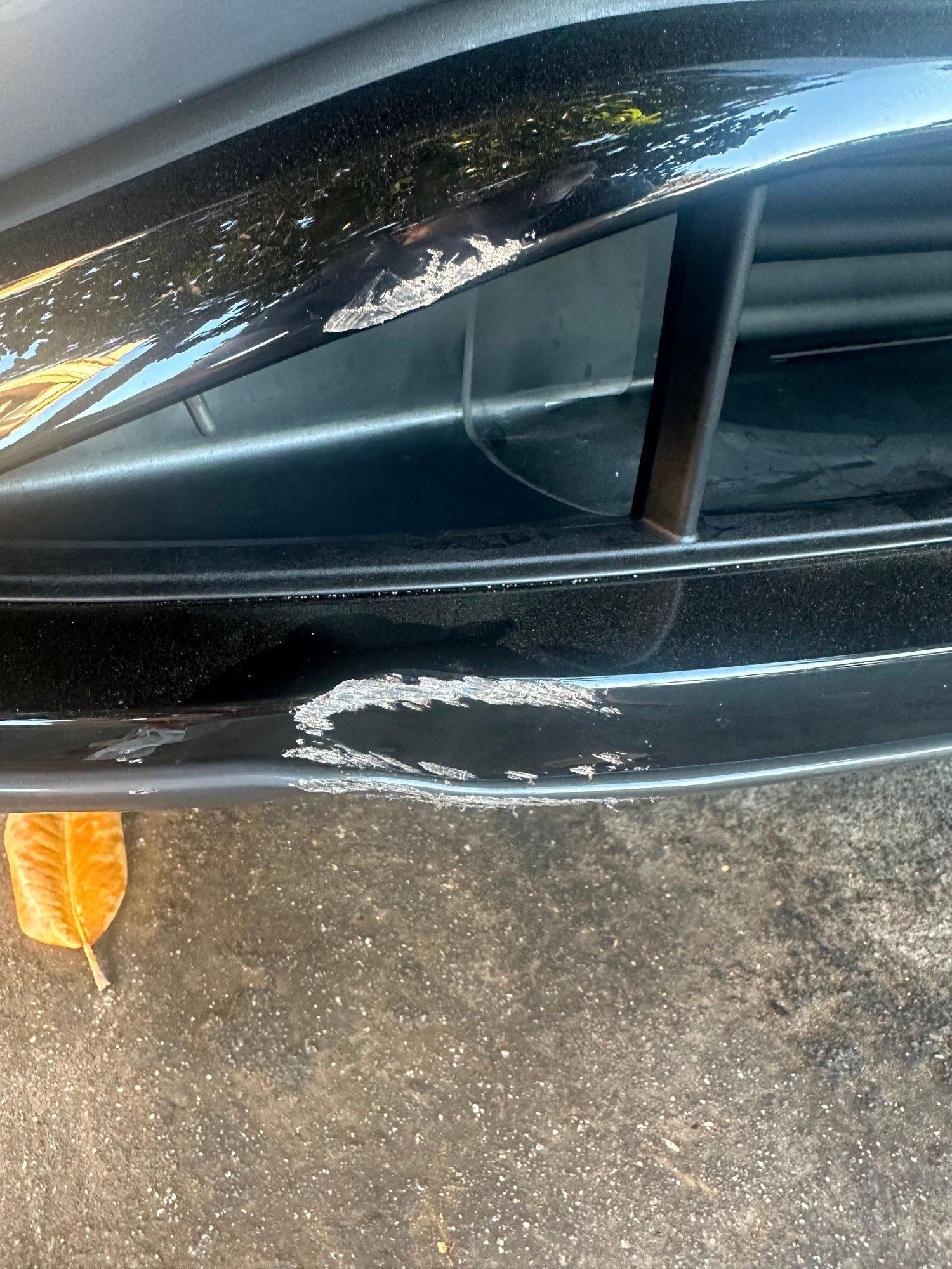 Multiple panels scratched / dented - AudiWorld Forums