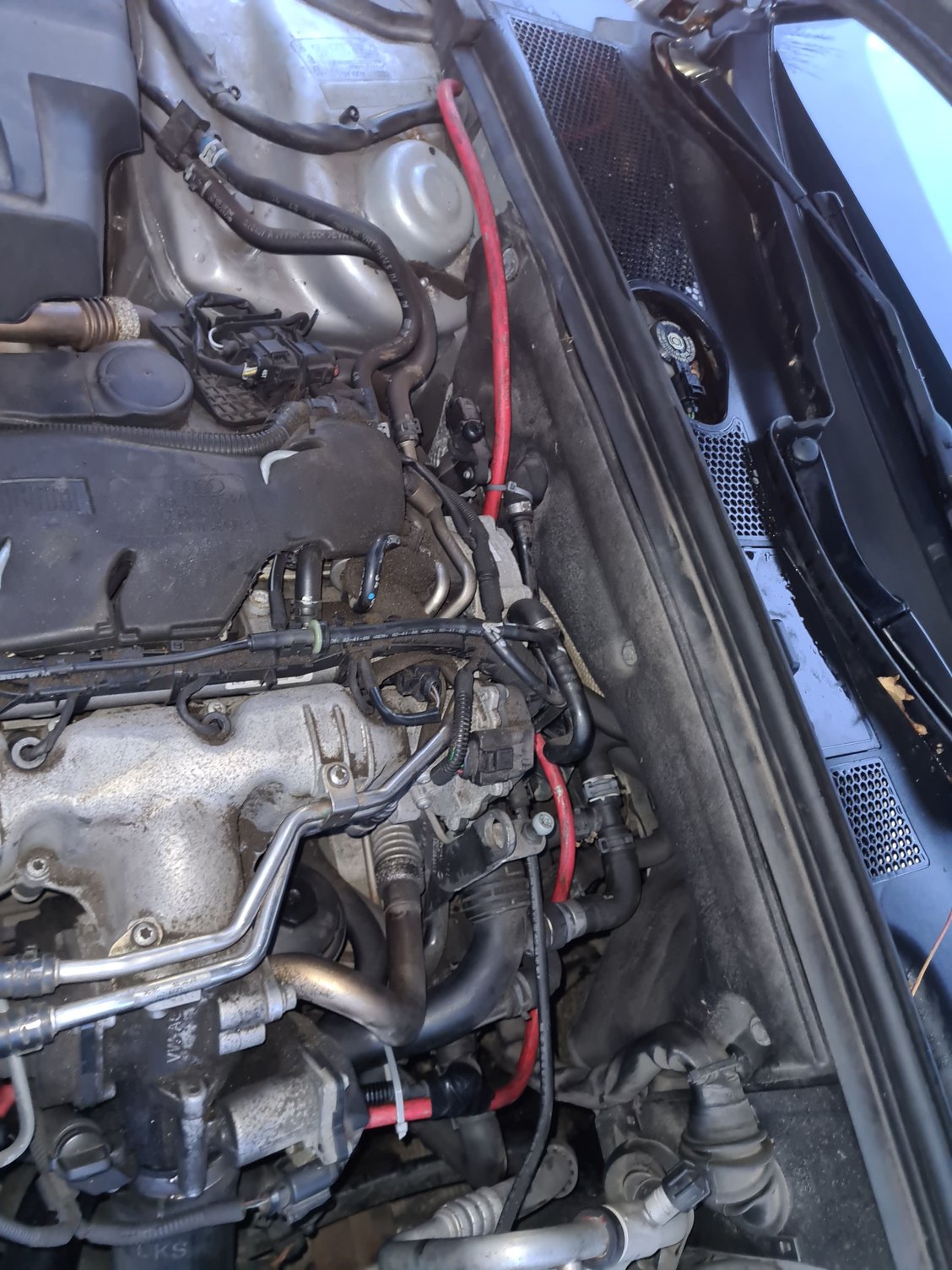 Alternator fault battery not being charged!!! Page 3 AudiWorld Forums