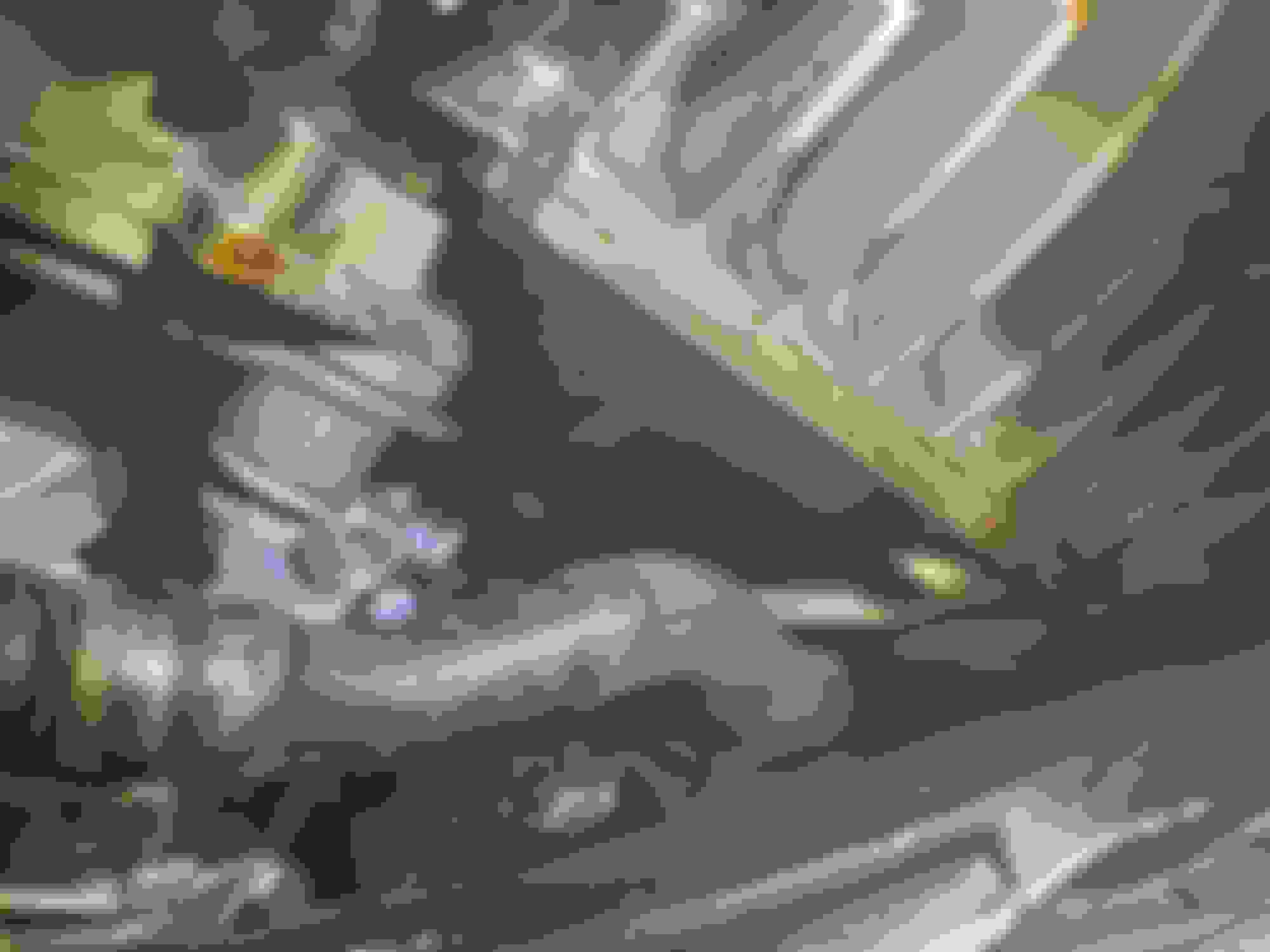 Trans, diff and transfer case fluid change Page 7 AudiWorld Forums