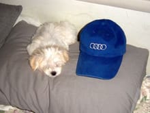 louie_and_my_hat_9.1.jpg