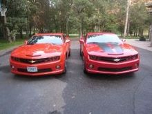 Freshly washed!