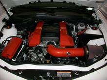 420 HP Engine Paint Detail