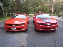 Freshly washed!