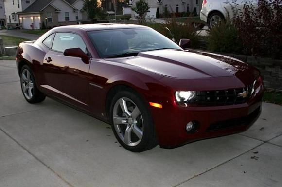 Red Jewel Tintcoat