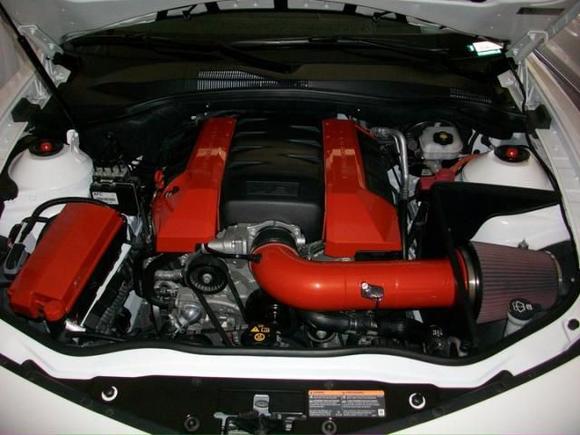 420 HP Engine Paint Detail