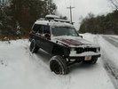 Dixie in the snow