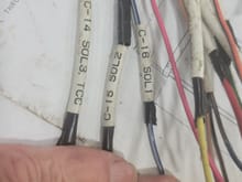 Labeled wires 4 ya