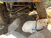 So here’s an update. Up on Santiam Pass, first trail, this happen 🤪. I think I snagged it on a rock which stressed it, then when I tried to turn, the hydro ram finished it! Oh well, not bad for a $15 Rock Auto special 😂