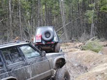 Wild Bill- 3/21/15