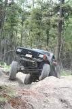 Wild Bill