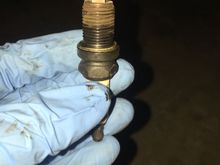 I'm no expert, but this doesn't look too good