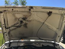 The engine compartment had a nice coat of oil pretty much everywhere, they called it rust proofing lol.