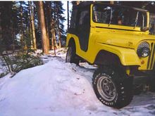 the willys