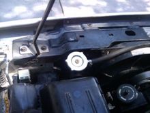 new radiator fill