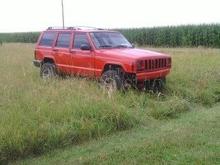 grass