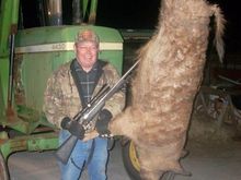 my custom rifle man with his boar.