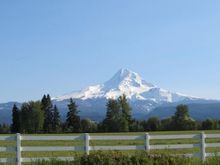 Mount Hood