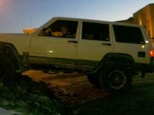white rhino