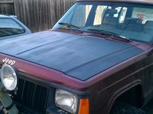 painted hood