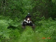 quading in the woods, found another water crossing, not a deep as the others. about 1.5 ft deep and moving slowly.