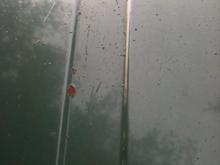 More rust!!!!