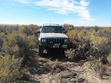 Got Sagebrush?