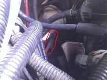 Pipe is on top of trans case.