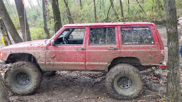 I somehow Austin Powers myself bewteen 2 trees and had need help to finess out of it without losing a tailight.